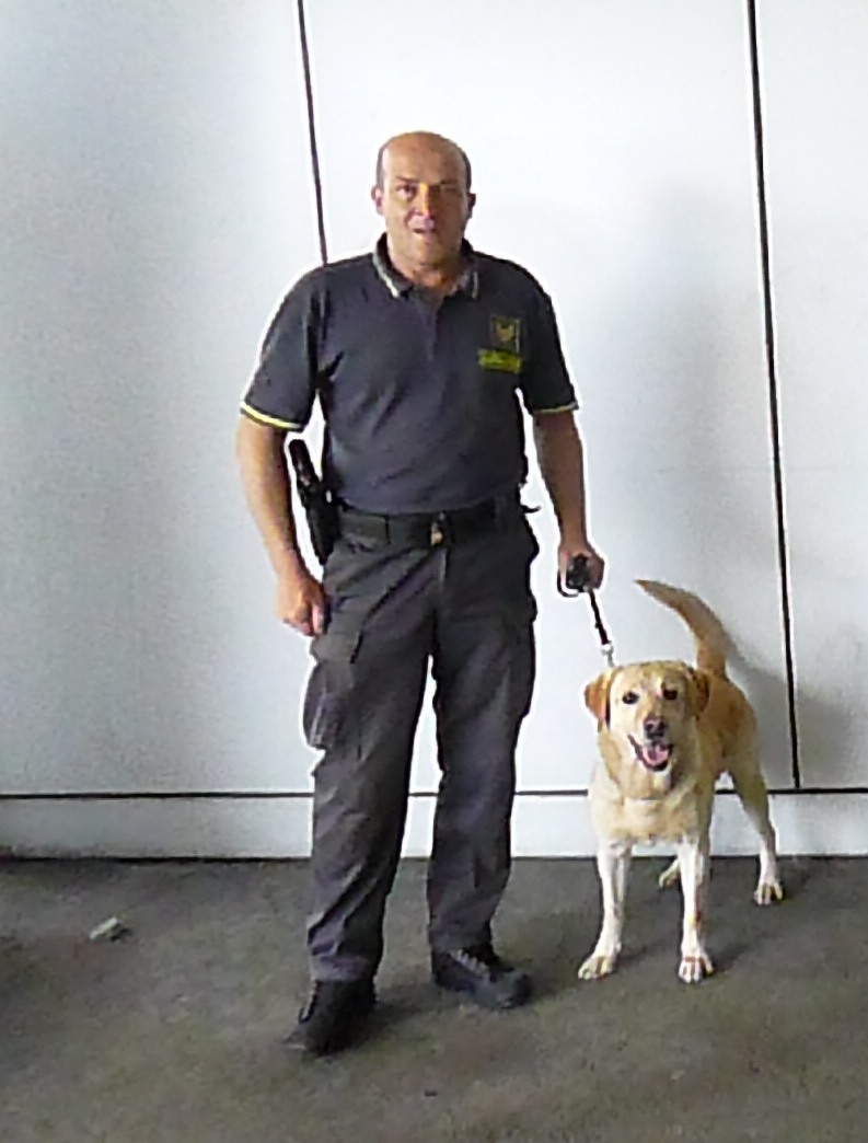 Droga, tabacco, denaro, esplosivi: ecco i cani delle forze dell’ordine