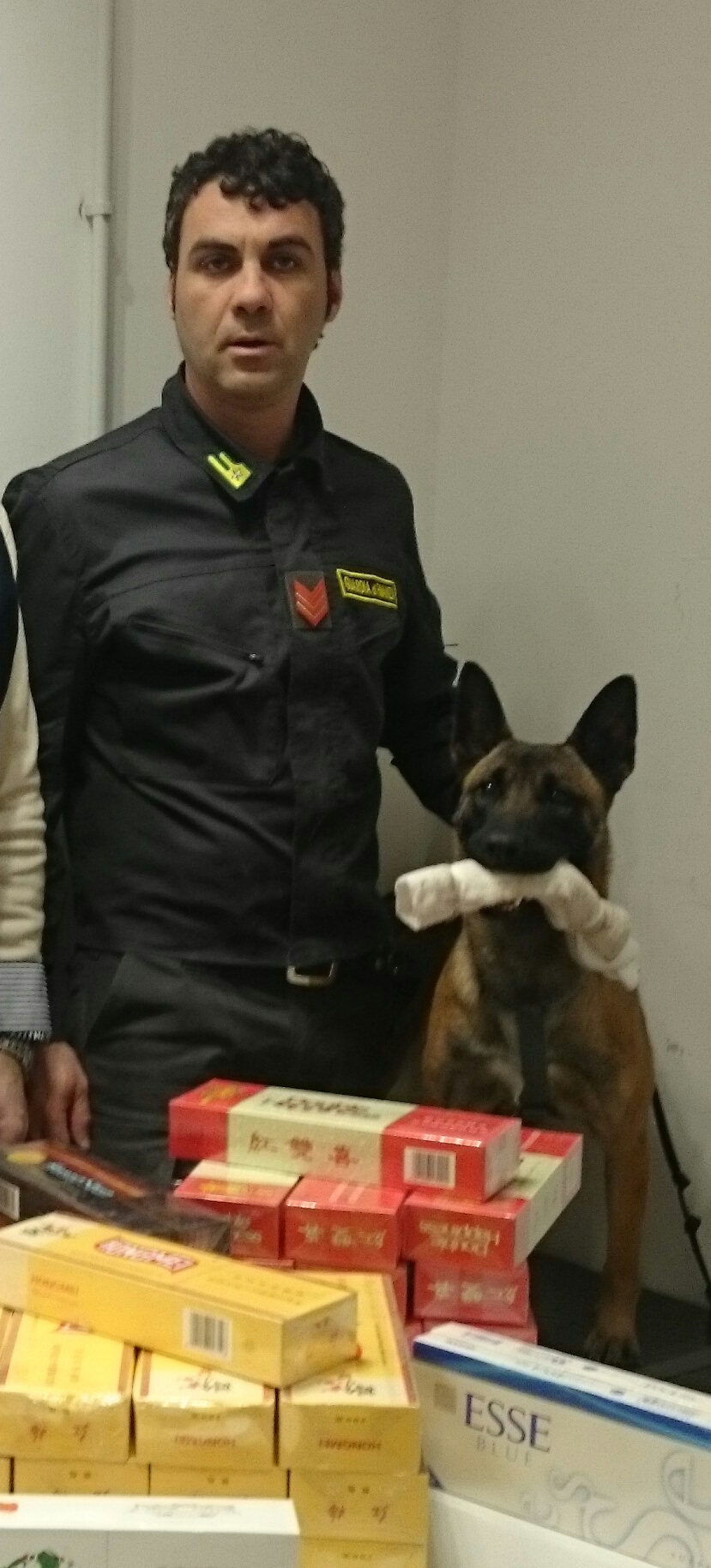 Droga, tabacco, denaro, esplosivi: ecco i cani delle forze dell’ordine