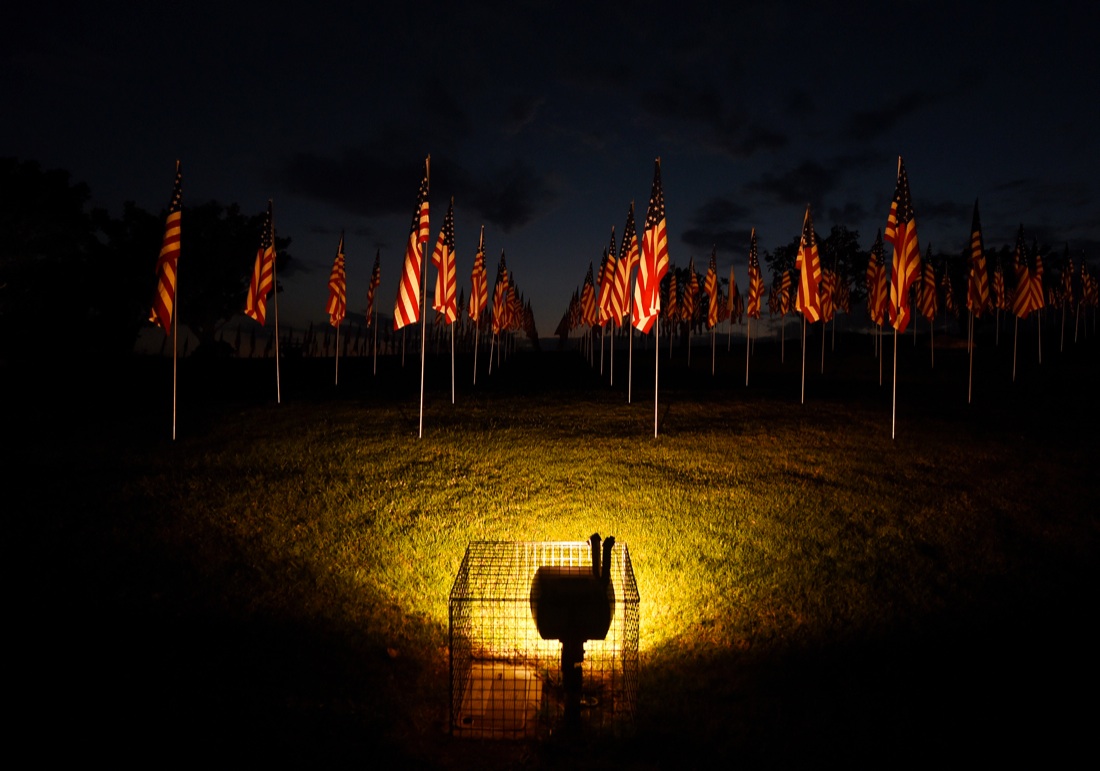 11 settembre: le foto del ricordo, 14 anni dopo 11 settembre: le foto del ricordo, 14 anni dopo