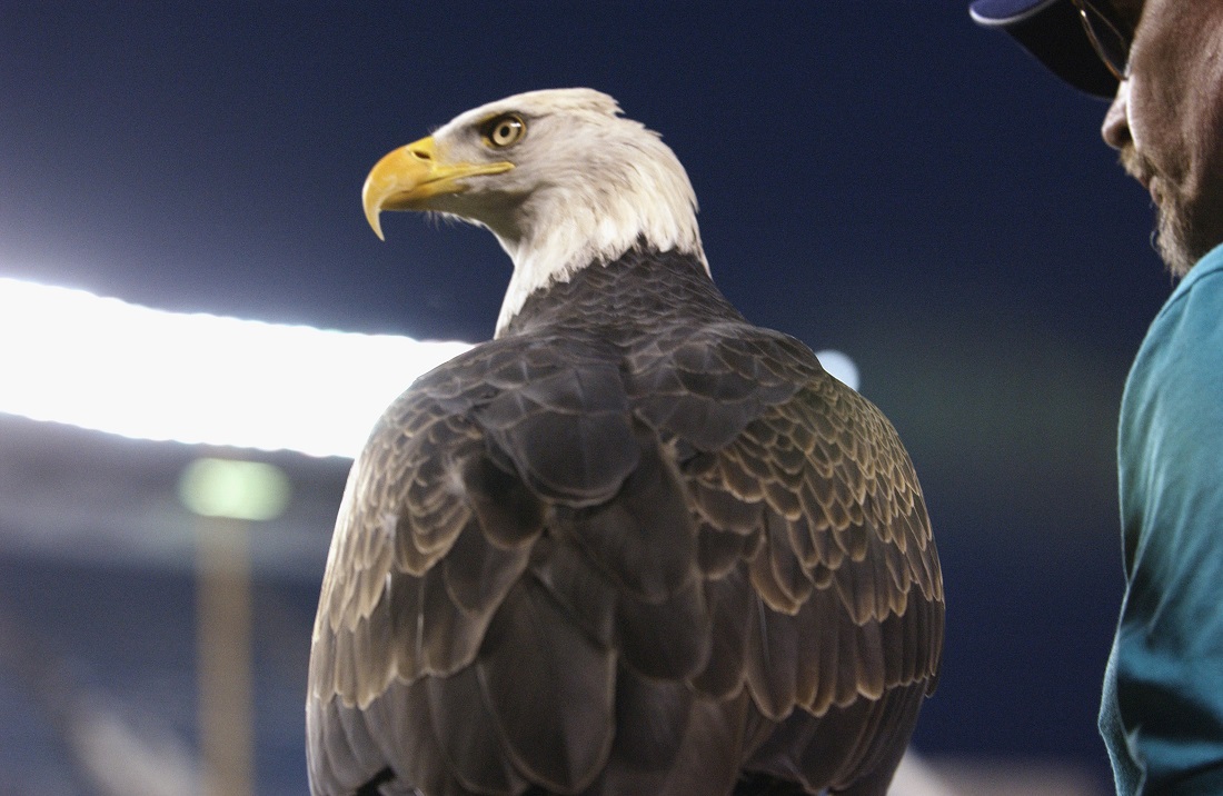 11 settembre 2001: quel fuoricampo che restituì il sorriso all’America