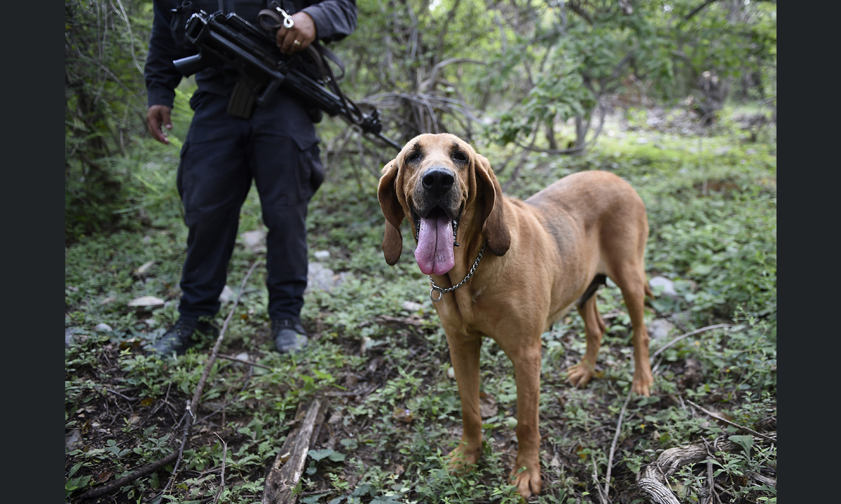 Strage di Iguala: il governo messicano ha mentito