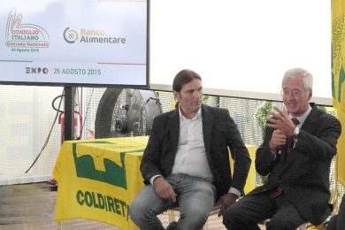 Banco Alimentare: se anche il coniglio serve alla solidarietà