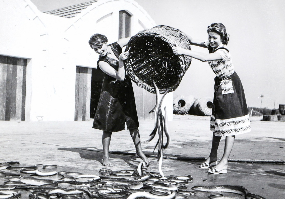 La Stella di Comacchio: Sophia Loren e il Delta del Po