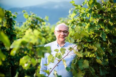 Il vino si fa tecnologico