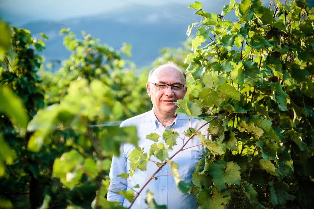 Il vino si fa tecnologico Il vino si fa tecnologico