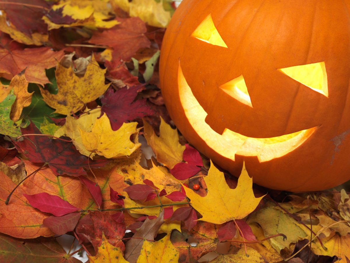 Galleria foto 'Tutti contro Halloween: quelli che la “detestano”' - foto 7