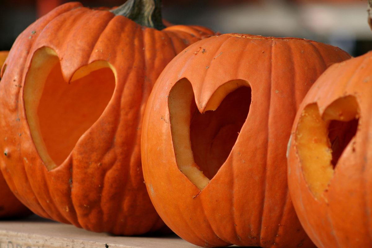 Galleria foto 'Tutti contro Halloween: quelli che la “detestano”' - foto 9