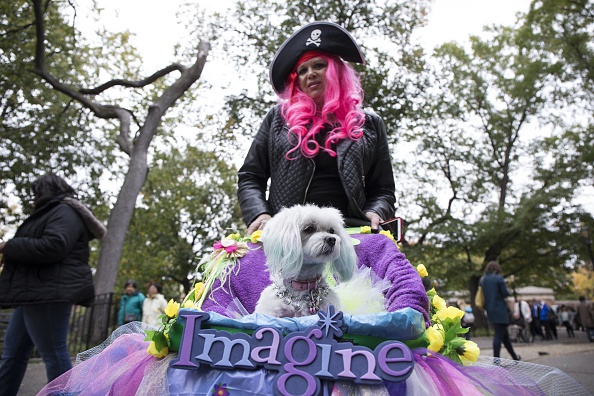 Halloween, anche gli animali in maschera