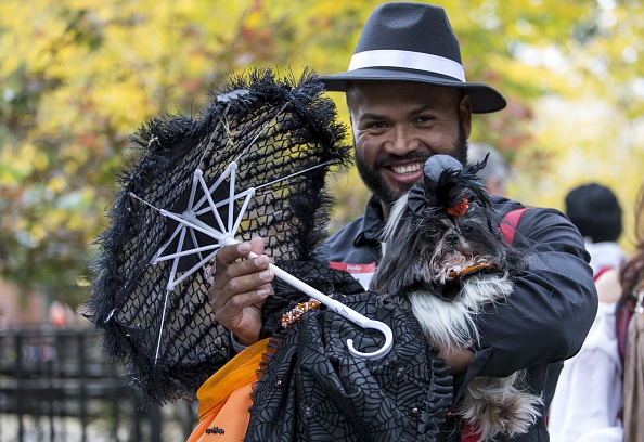 Halloween, anche gli animali in maschera