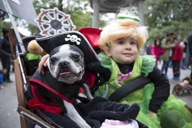 Halloween, anche gli animali in maschera