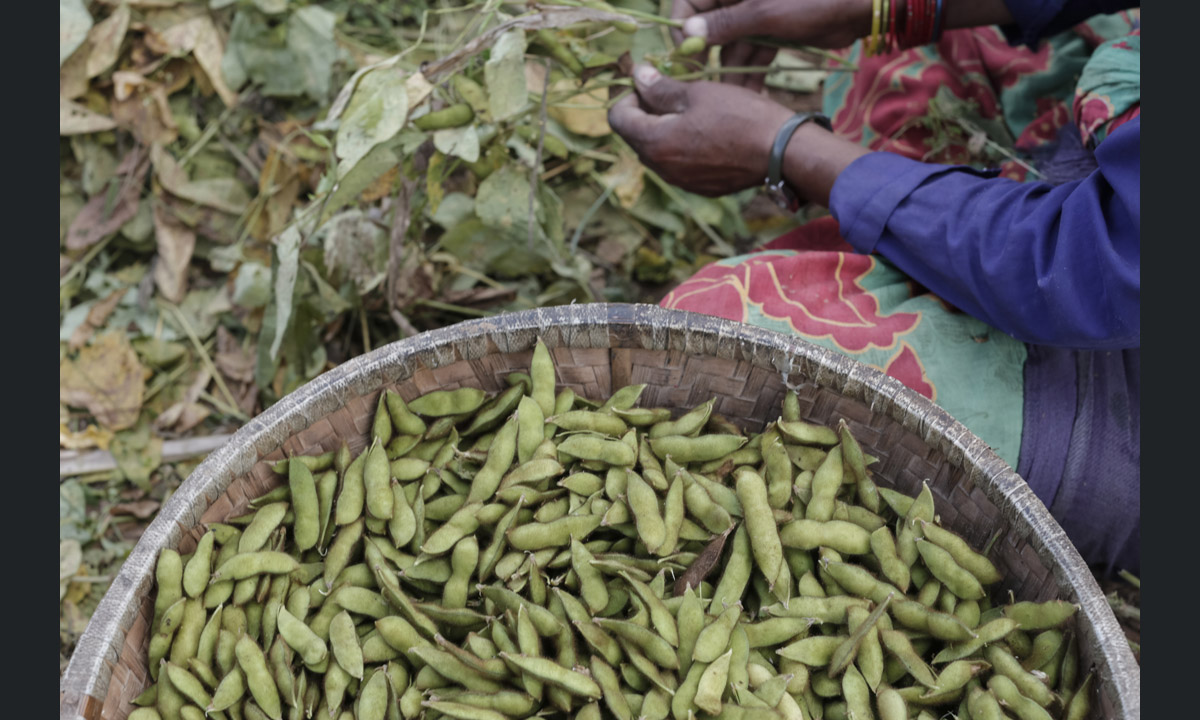 Ritorno in Nepal, 6 mesi dopo il terremoto – Foto