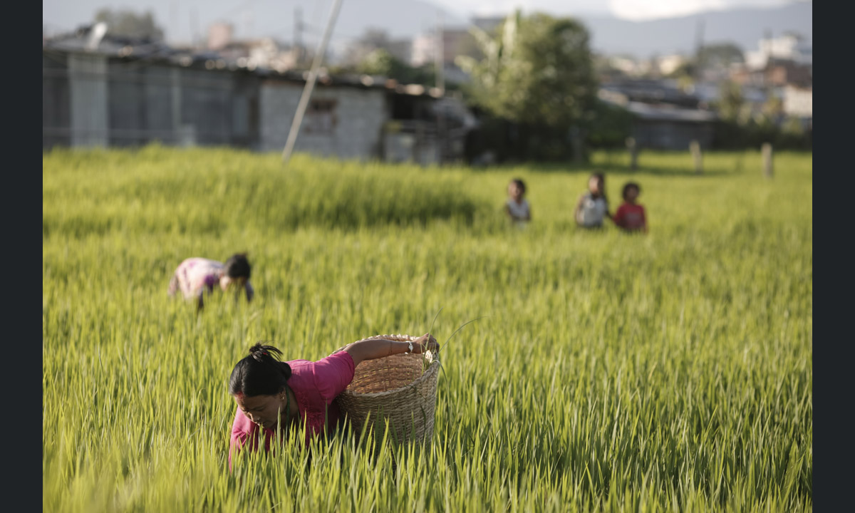 Ritorno in Nepal, 6 mesi dopo il terremoto – Foto