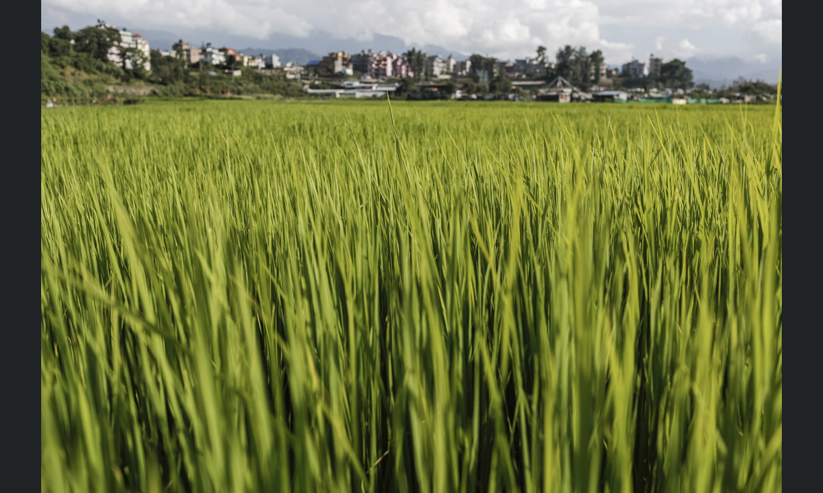Ritorno in Nepal, 6 mesi dopo il terremoto – Foto