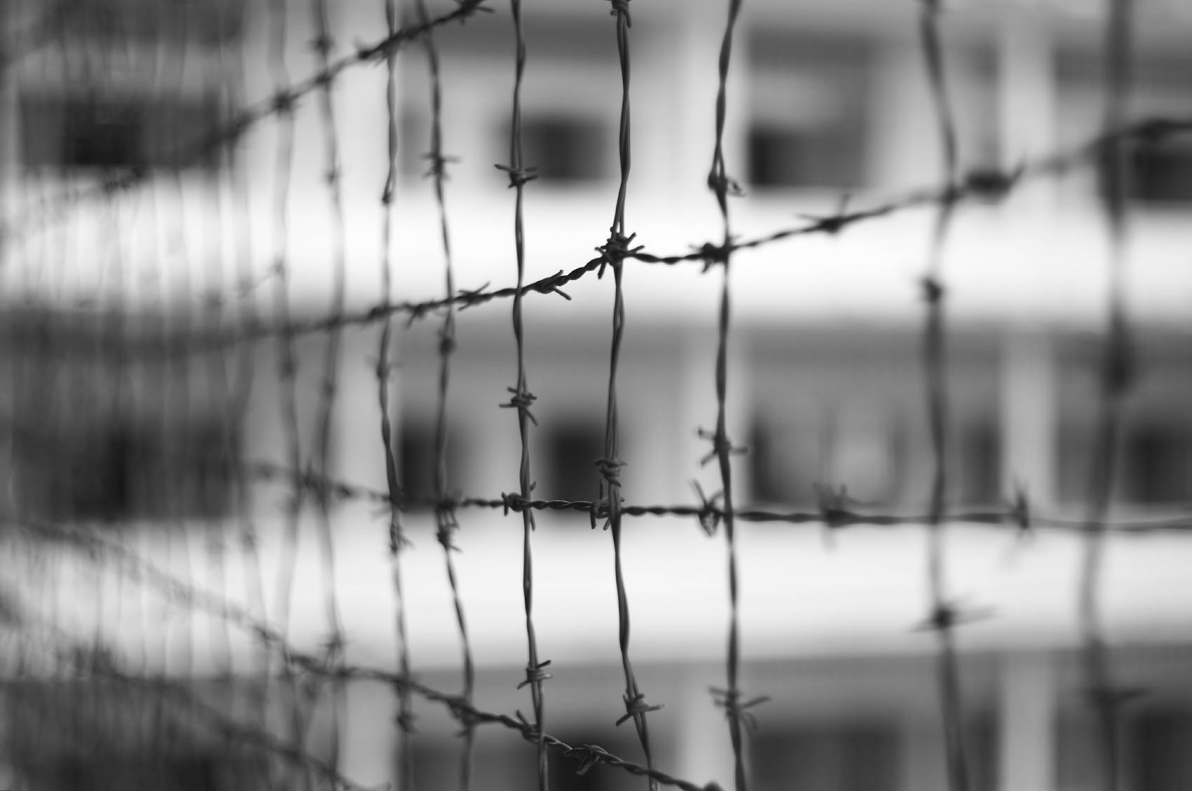 Reparto Assassini di Abram de Swaan