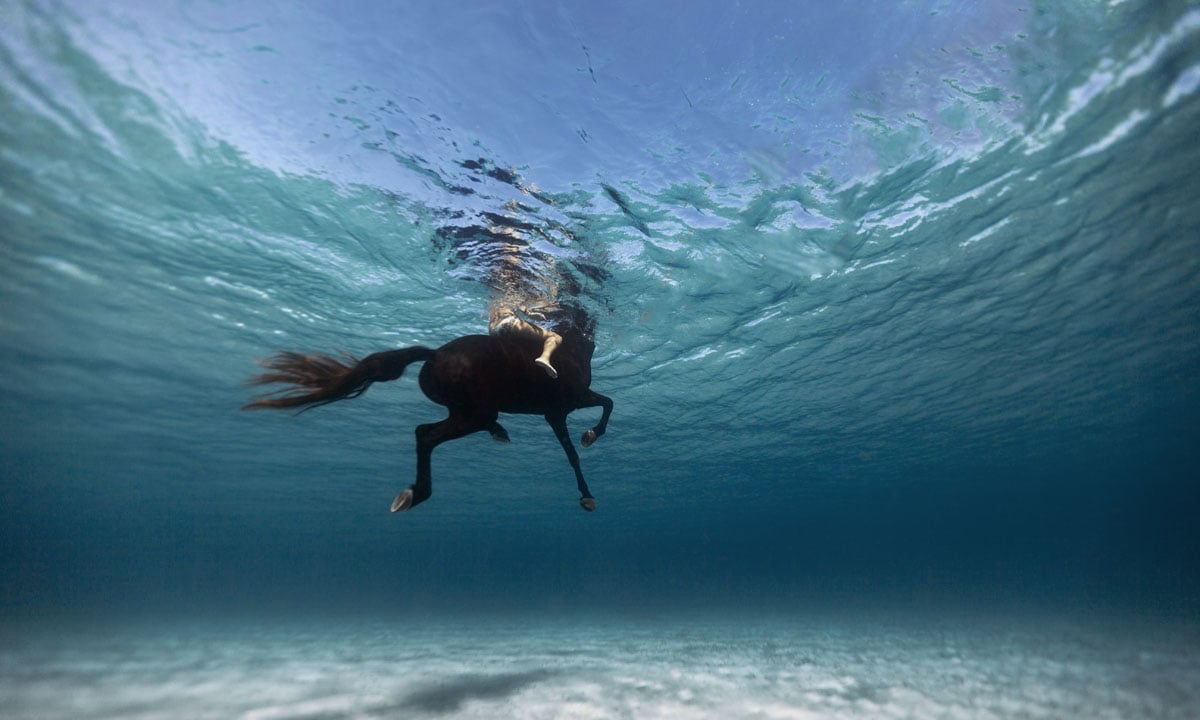 Com’è profondo il mare: le foto di Enric Adrian Gener