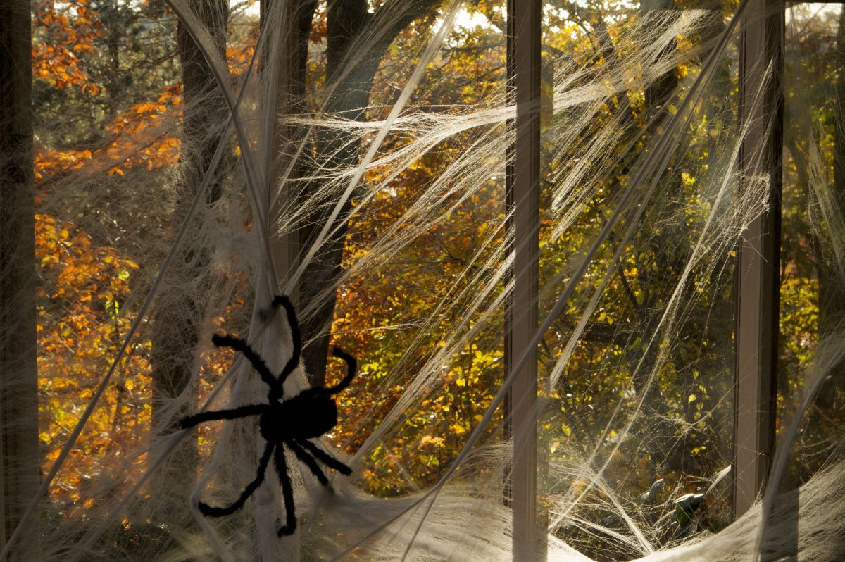 Galleria foto 'Halloween, tra città-fantasma e ghost tour' - foto 15