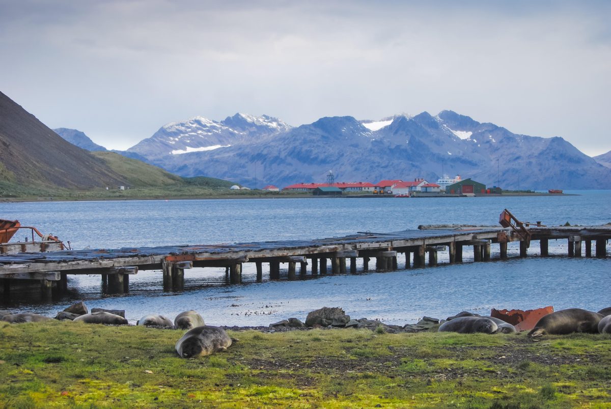 Galleria foto 'Halloween, tra città-fantasma e ghost tour' - foto 23
