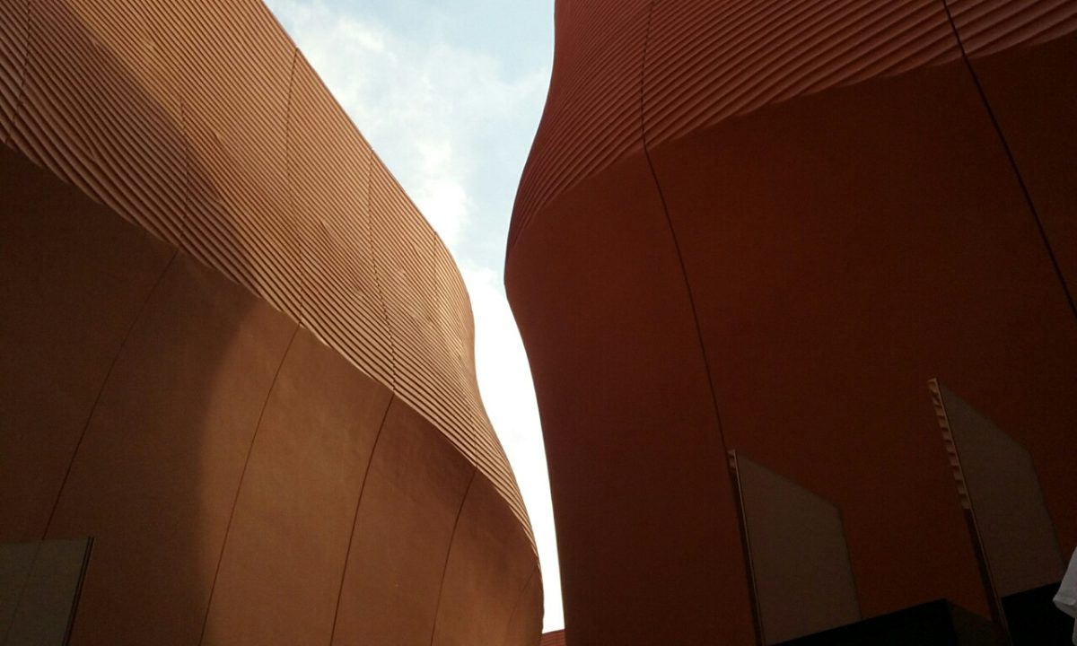 Galleria foto 'Expo: quasi tre ore in coda, ma visitatori soddisfatti' - foto 55