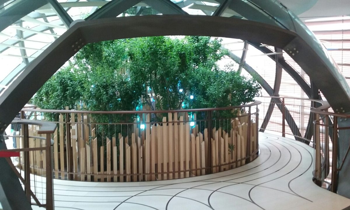 Galleria foto 'Expo: quasi tre ore in coda, ma visitatori soddisfatti' - foto 67