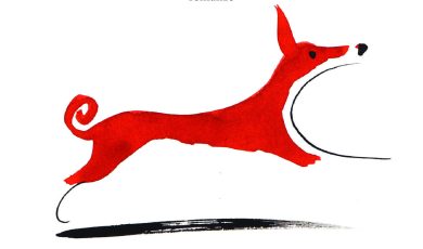 ‘Woody’ di Federico Baccomo. La recensione