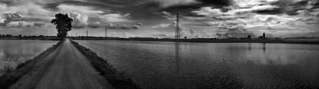 Muoviamoci: immagini per combattere la SLA