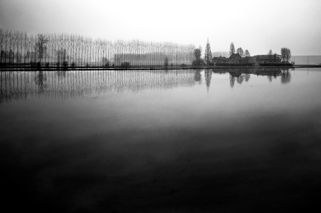 Muoviamoci: immagini per combattere la SLA