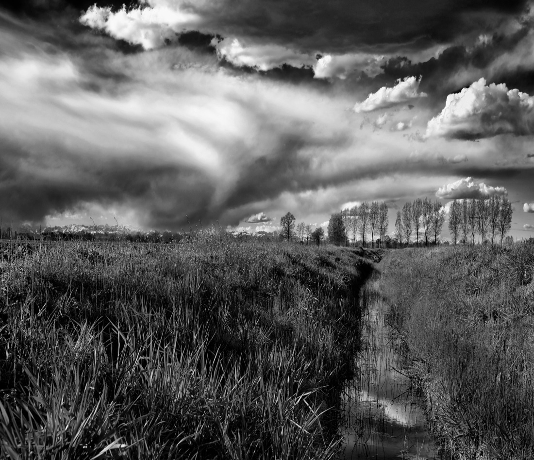 Muoviamoci: immagini per combattere la SLA