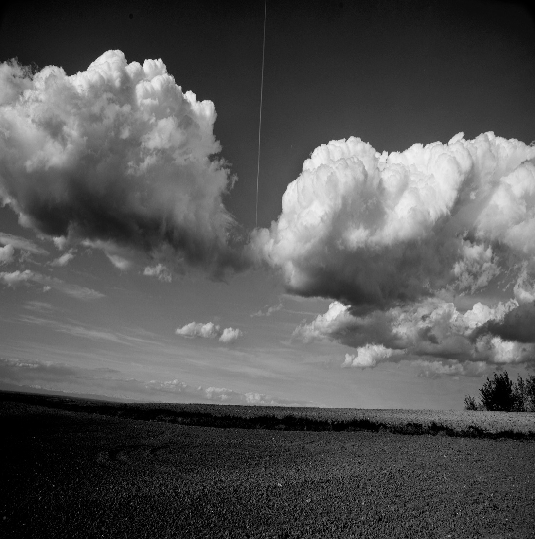 Muoviamoci: immagini per combattere la SLA