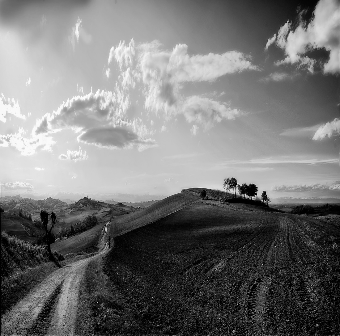 Muoviamoci: immagini per combattere la SLA