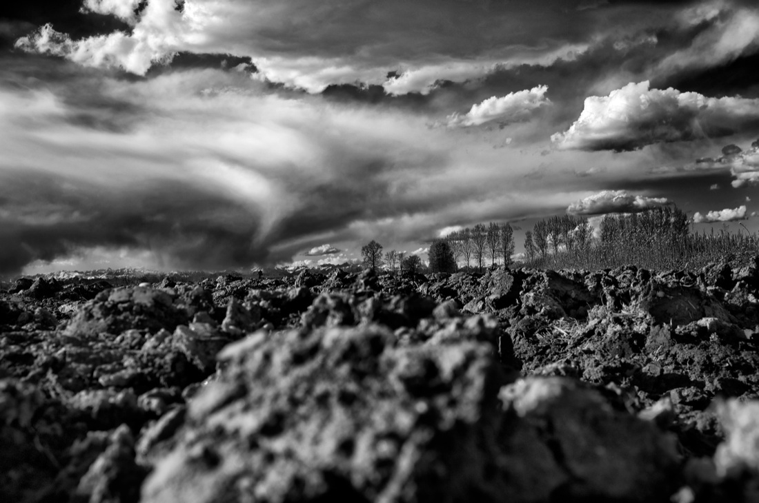 Muoviamoci: immagini per combattere la SLA