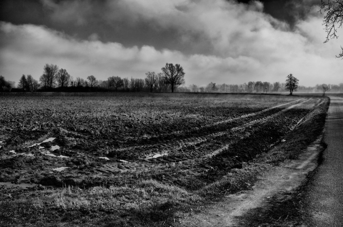 Muoviamoci: immagini per combattere la SLA