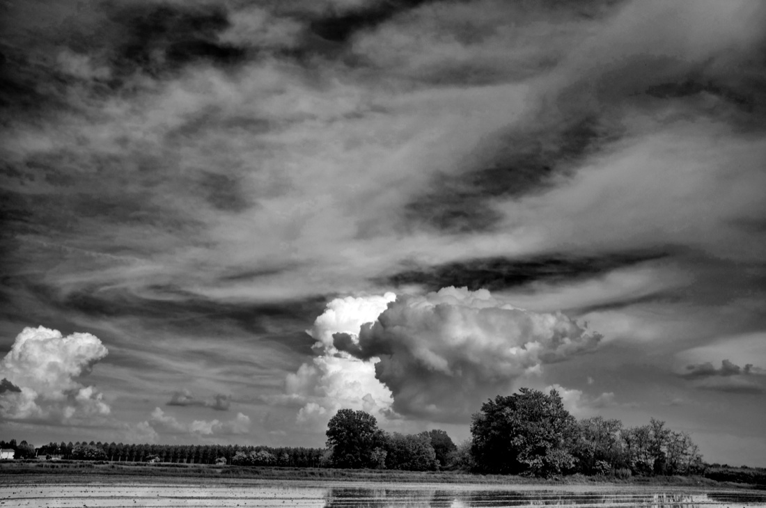 Muoviamoci: immagini per combattere la SLA