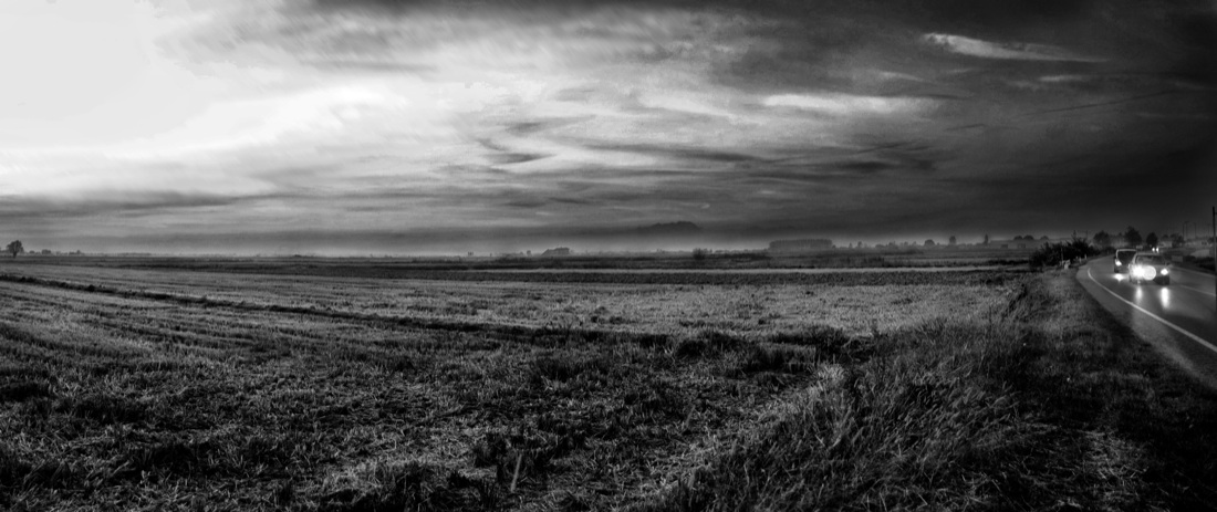 Muoviamoci: immagini per combattere la SLA