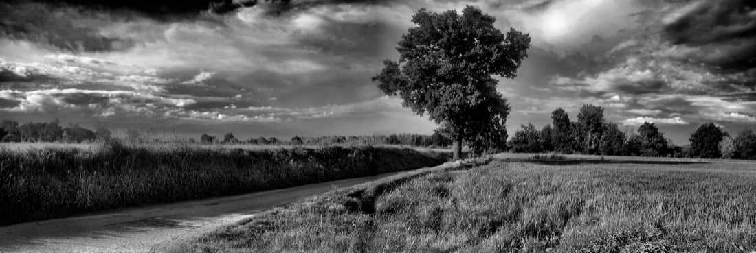 Muoviamoci: immagini per combattere la SLA