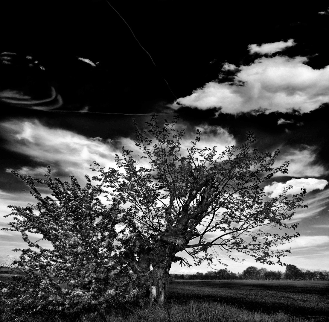 Muoviamoci: immagini per combattere la SLA