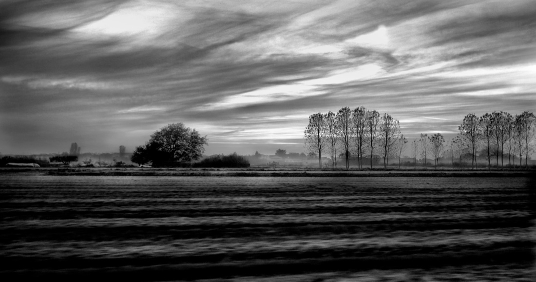 Muoviamoci: immagini per combattere la SLA