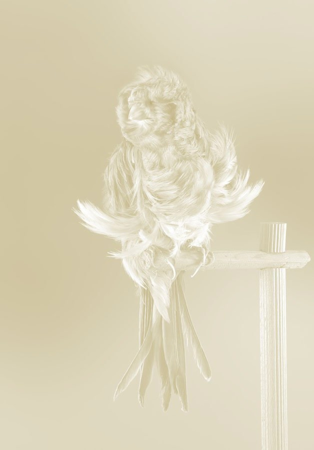 Arte, vino e solidarietà