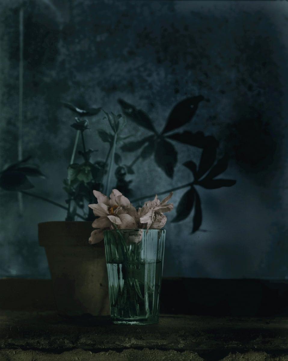 Natura morta e fotografia contemporanea: la mostra a Bolzano Natura morta e fotografia contemporanea: la mostra a Bolzano