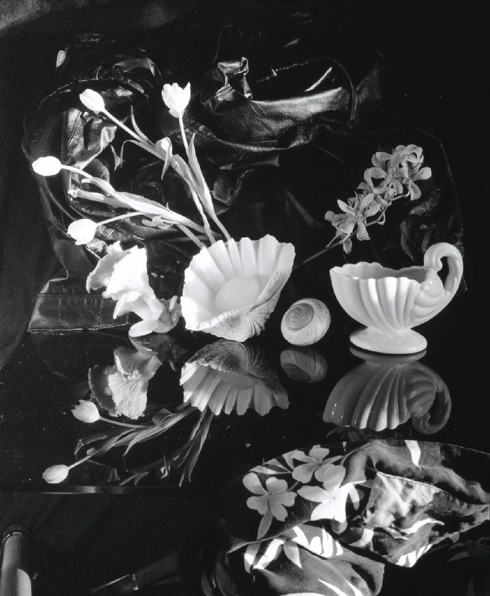 Natura morta e fotografia contemporanea: la mostra a Bolzano Natura morta e fotografia contemporanea: la mostra a Bolzano