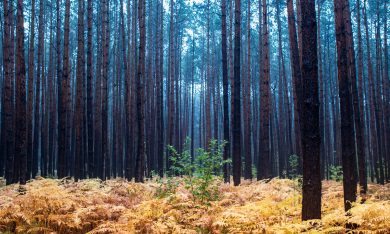 Le foto più belle della settimana – 10/16 ottobre