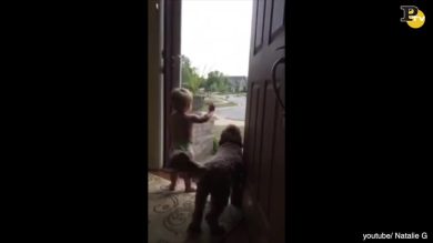 Papà torna a casa: la reazione del figlio e del cane