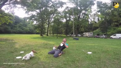 Disc Dog che passione!