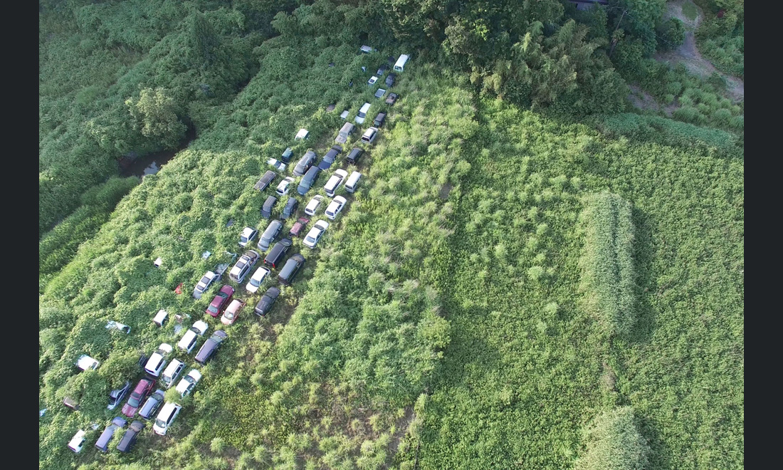 Fukushima: abbandono e rivincita della natura