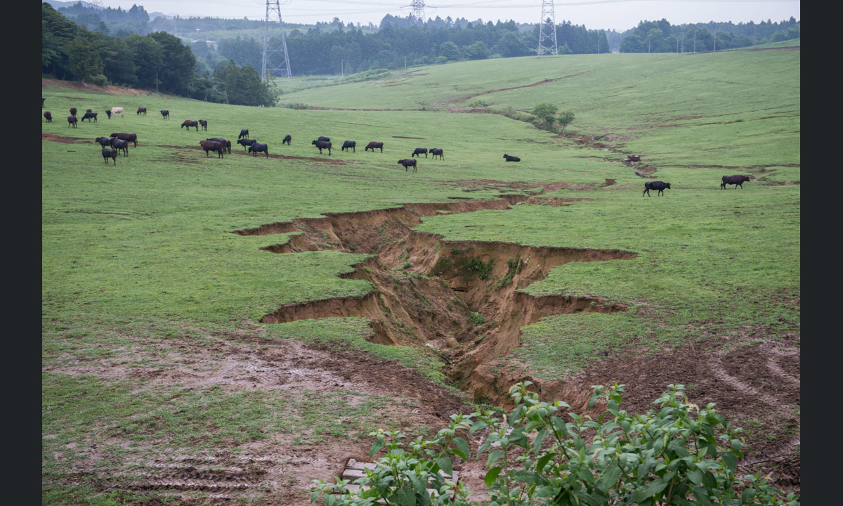 Fukushima: abbandono e rivincita della natura