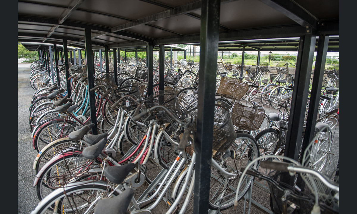 Fukushima: abbandono e rivincita della natura