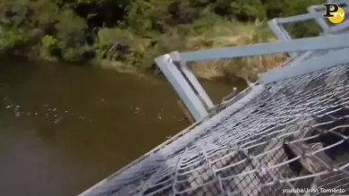 Nuova Zelanda: crolla ponte sospeso. Escursionisti nel fiume