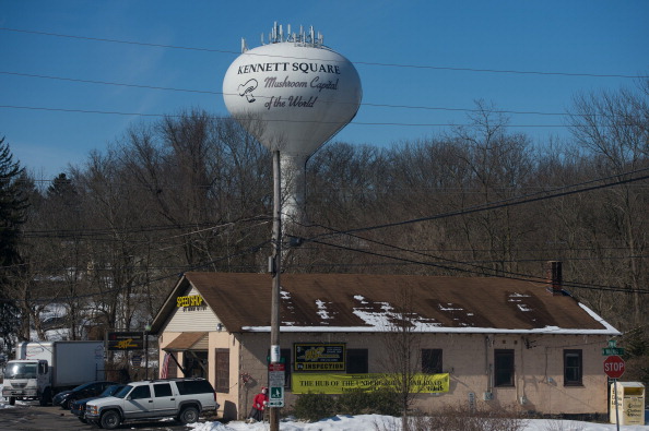 Non solo Expo: le “capitali” del cibo negli Usa