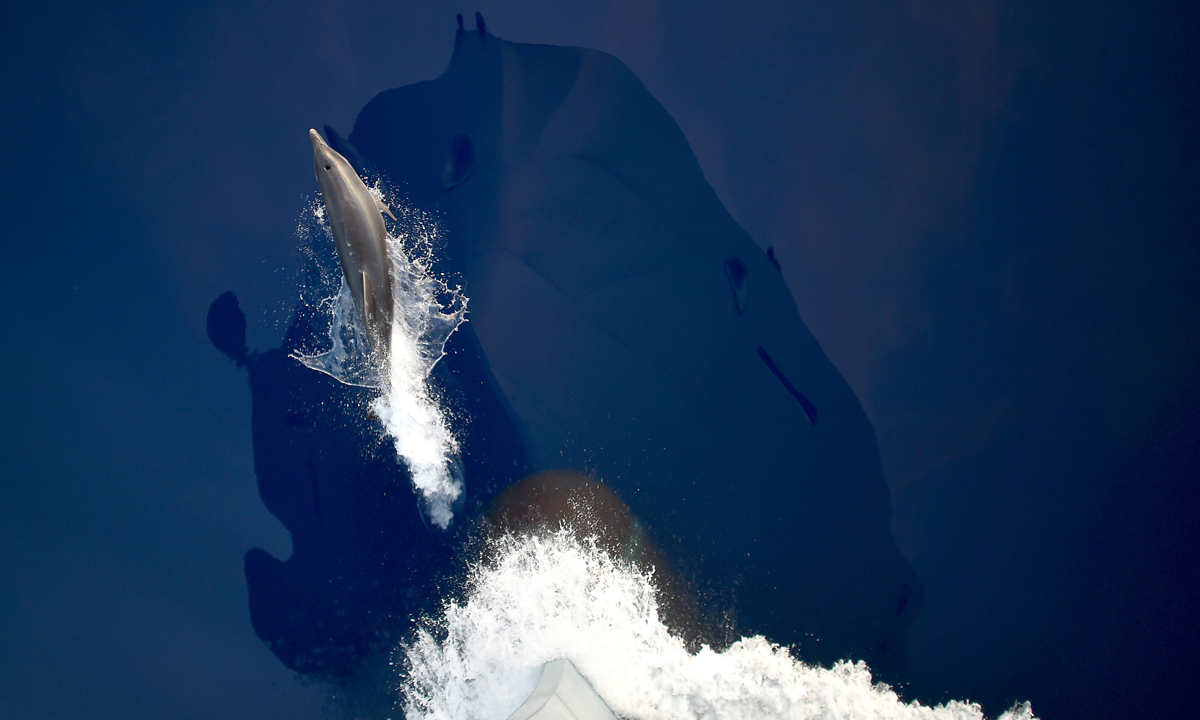 Le foto più belle della settimana – 26 settembre/2 ottobre