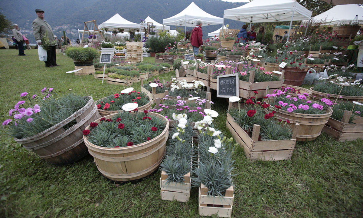 Orticolario, fiori e piante rare a Cernobbio