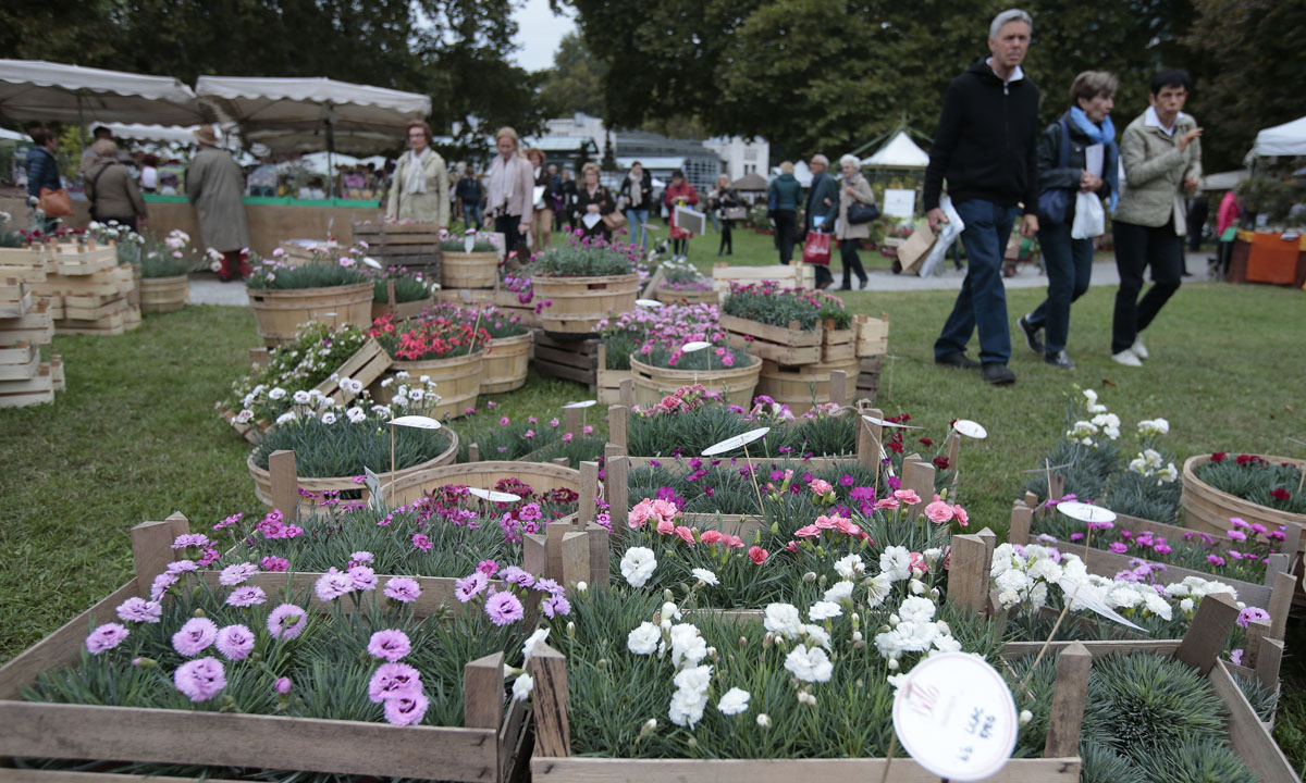Orticolario, fiori e piante rare a Cernobbio